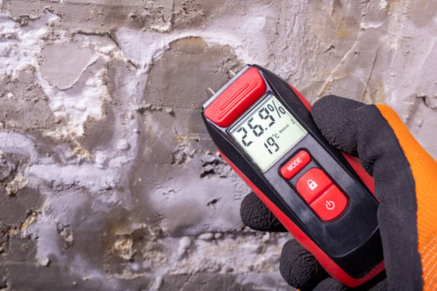 Best Mold Remediation for Specific Building Types in Clearlake Oaks, CA