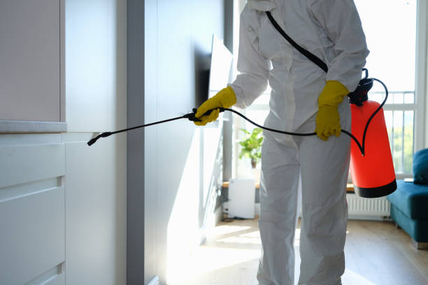 Best Insurance-Related Mold Remediation in Clearlake Oaks, CA
