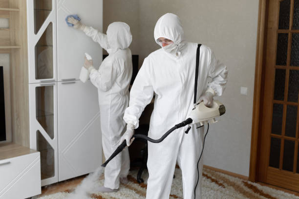 Best Mold Testing and Inspection Services in Clearlake Oaks, CA