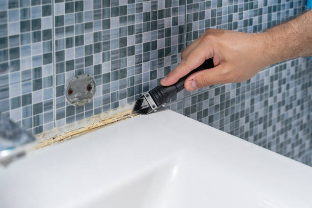 Best Preventive Mold Services in Clearlake Oaks, CA