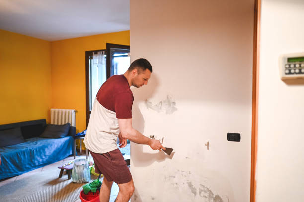 Best Residential Mold Remediation in Clearlake Oaks, CA