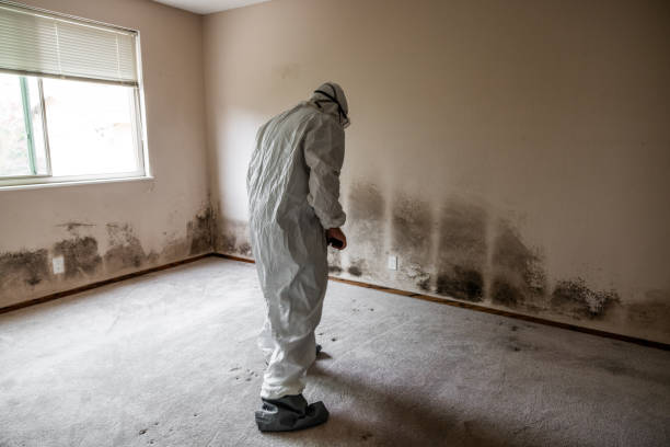 Best Residential Mold Remediation in Clearlake Oaks, CA