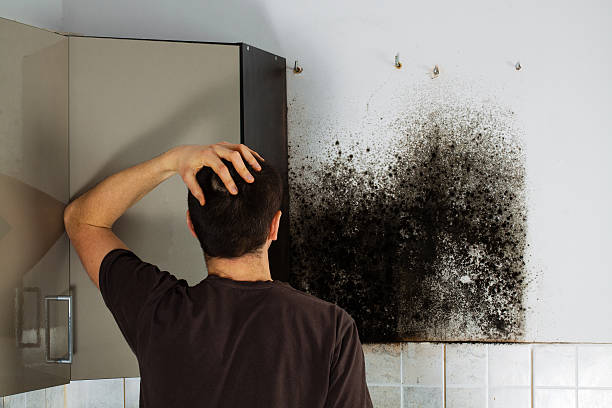 Best Mold Remediation for Specific Building Types in Clearlake Oaks, CA